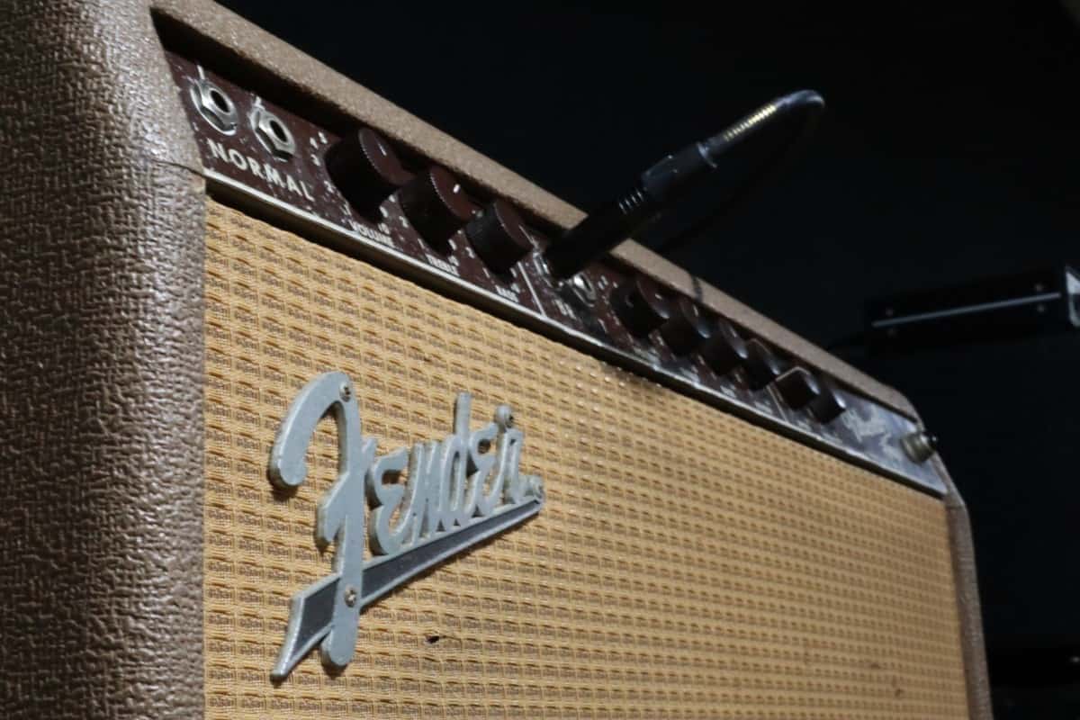 Differences Between Guitar Amps And Bass Amps? (The Facts You Should