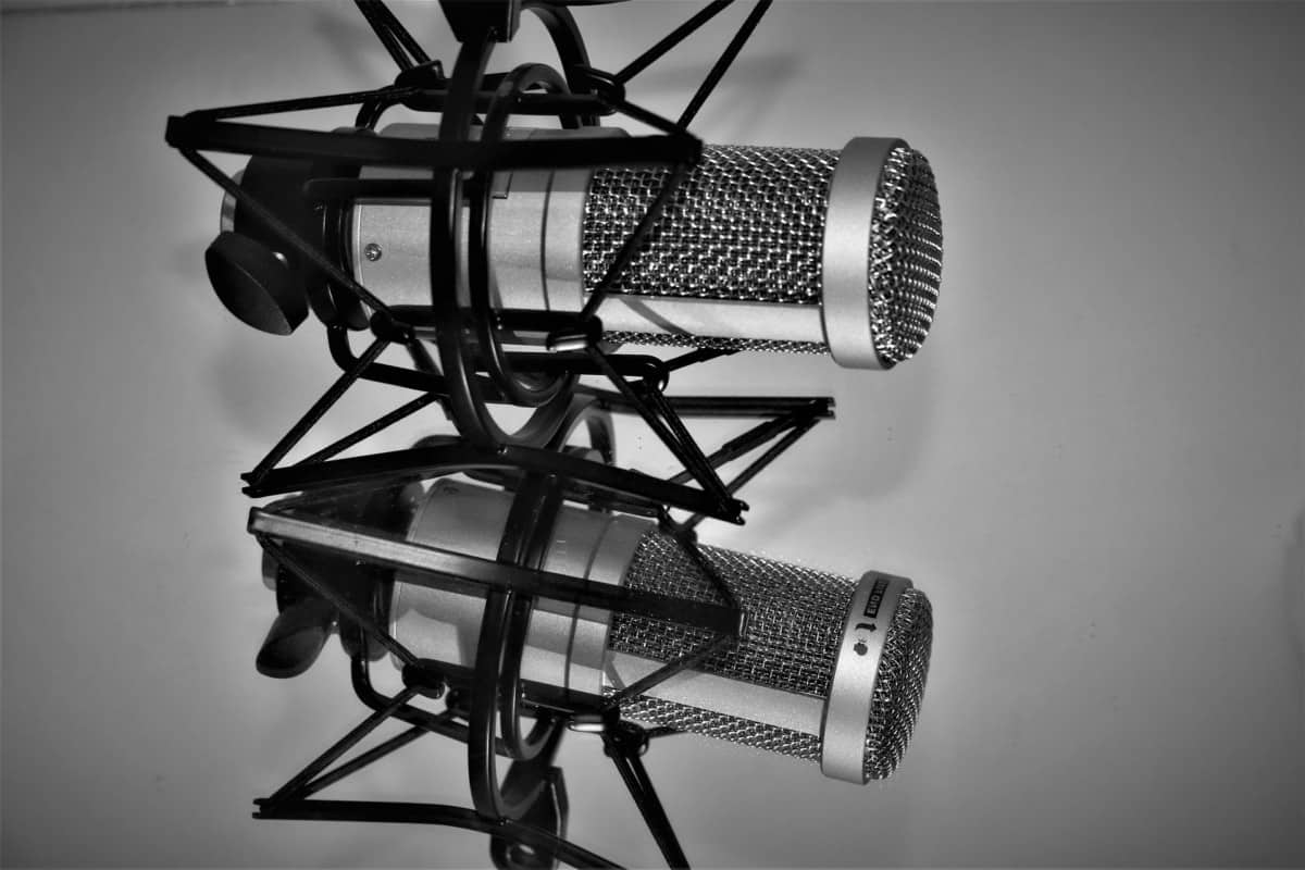 What Is A Microphone Shock Mount And Why Do I Need One?
