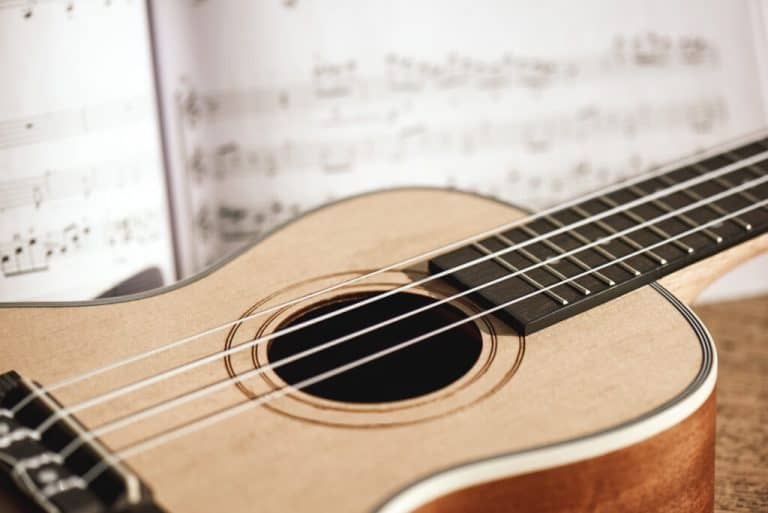 Is Ukulele Easier Than Guitar? Quick Facts Stamp Sound